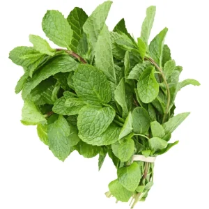 HERBS MINT