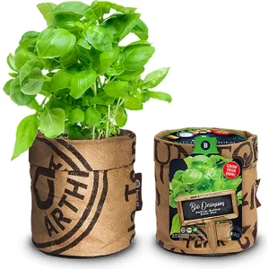 BAZA SEEDS & KITCHEN GARDEN BASILICUM