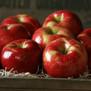HONEY CRISP APPLES