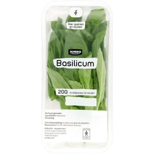 JUMBO BASILICUM