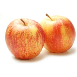 DUTCH JONAGOLD APPLE