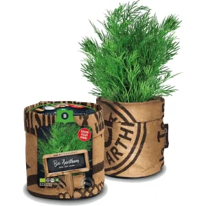 BAZA SEEDS & KICHENGARDEN BIO ANETHUM