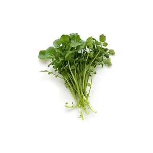 WATERCRESS/BERRO