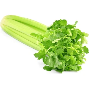 DANDY CELERY
