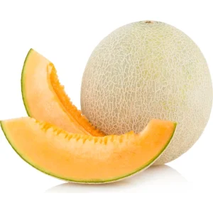 CANTALOUPE MELON